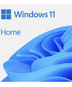 Windows 11 HOME