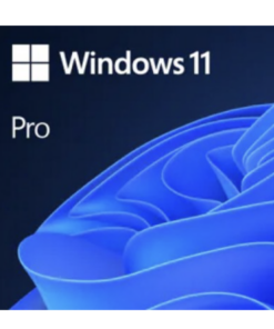 Windows 11 Pro